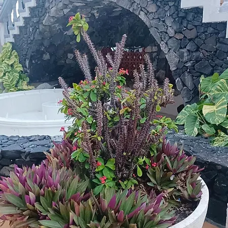 Estrella Y Mar La Estrella (Gran Canaria)